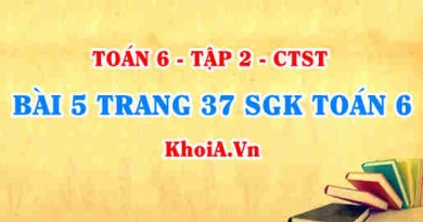 Bài 5 trang 37 SGK Toán 6 Tập 2 Chân trời sáng tạo